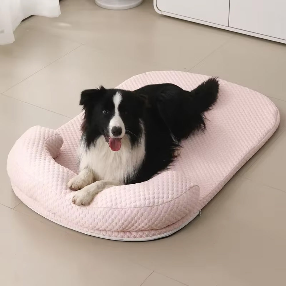 CoolasPet