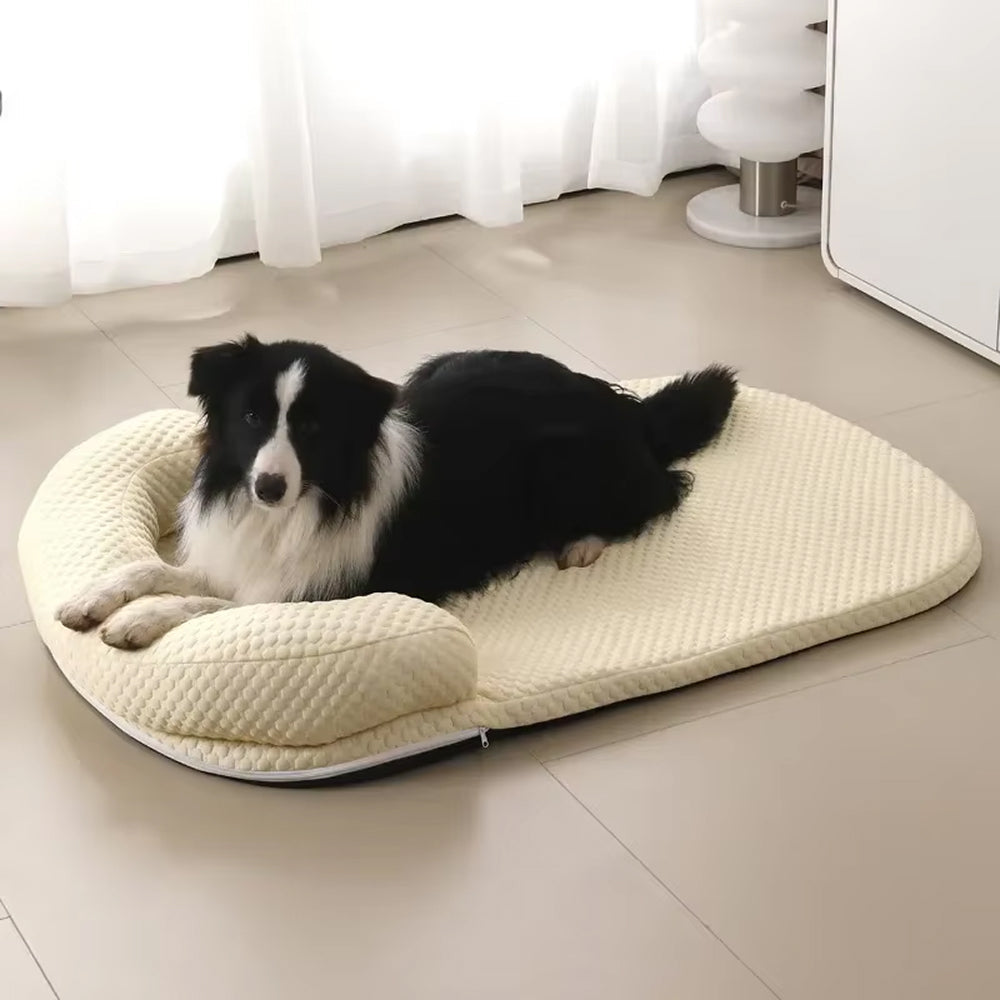 CoolasPet