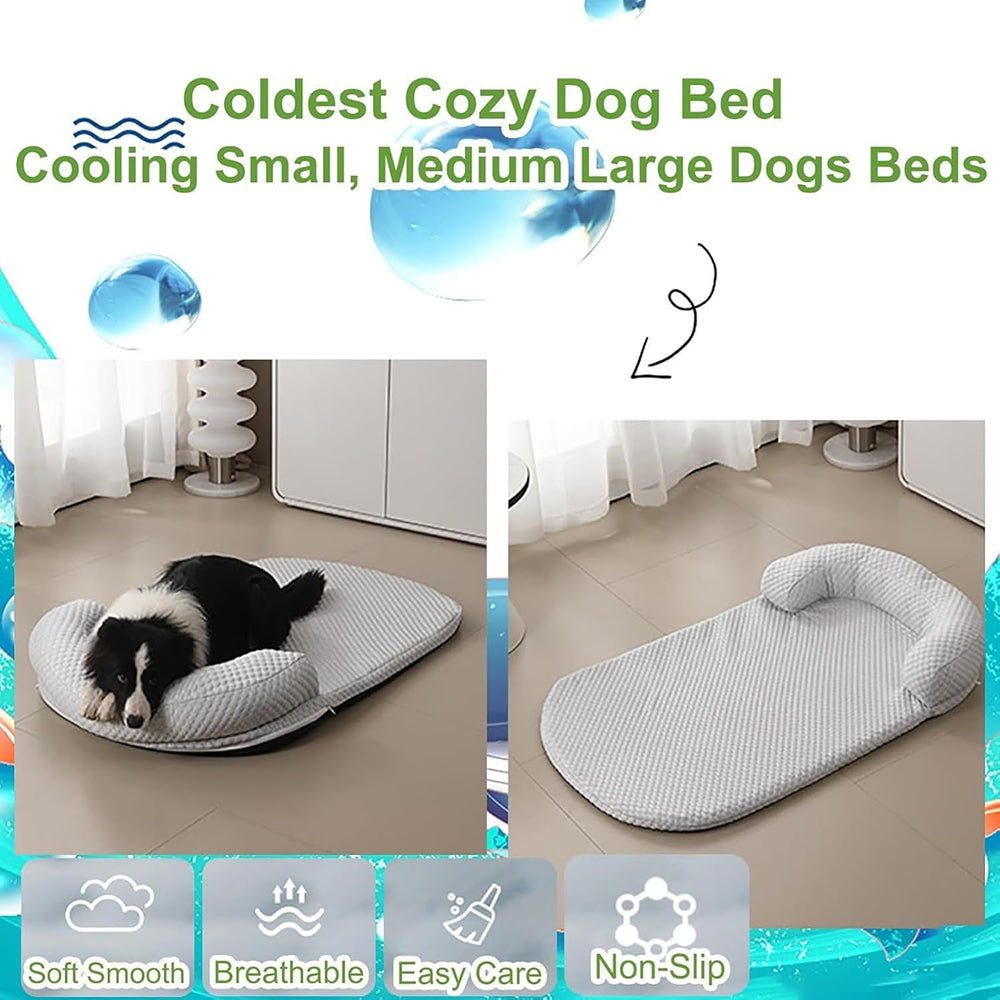 CoolasPet