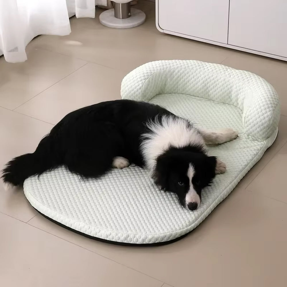 CoolasPet