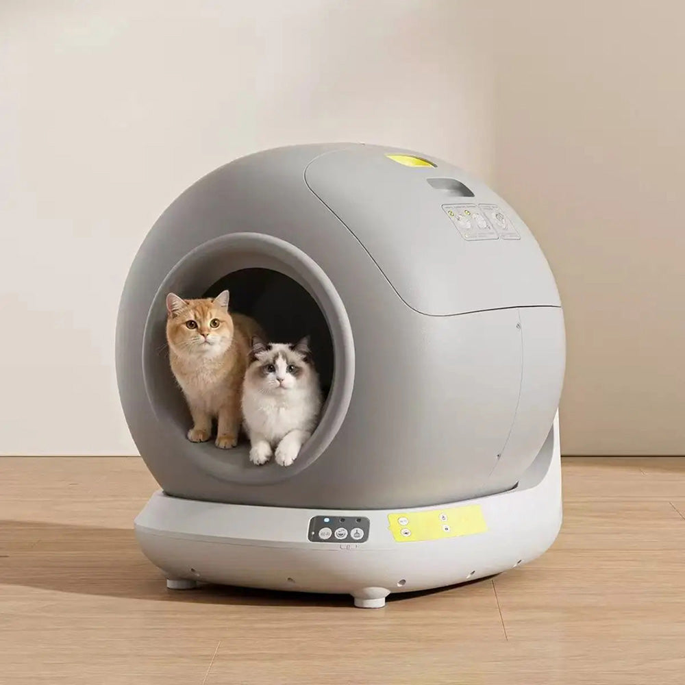 Catnixbo
