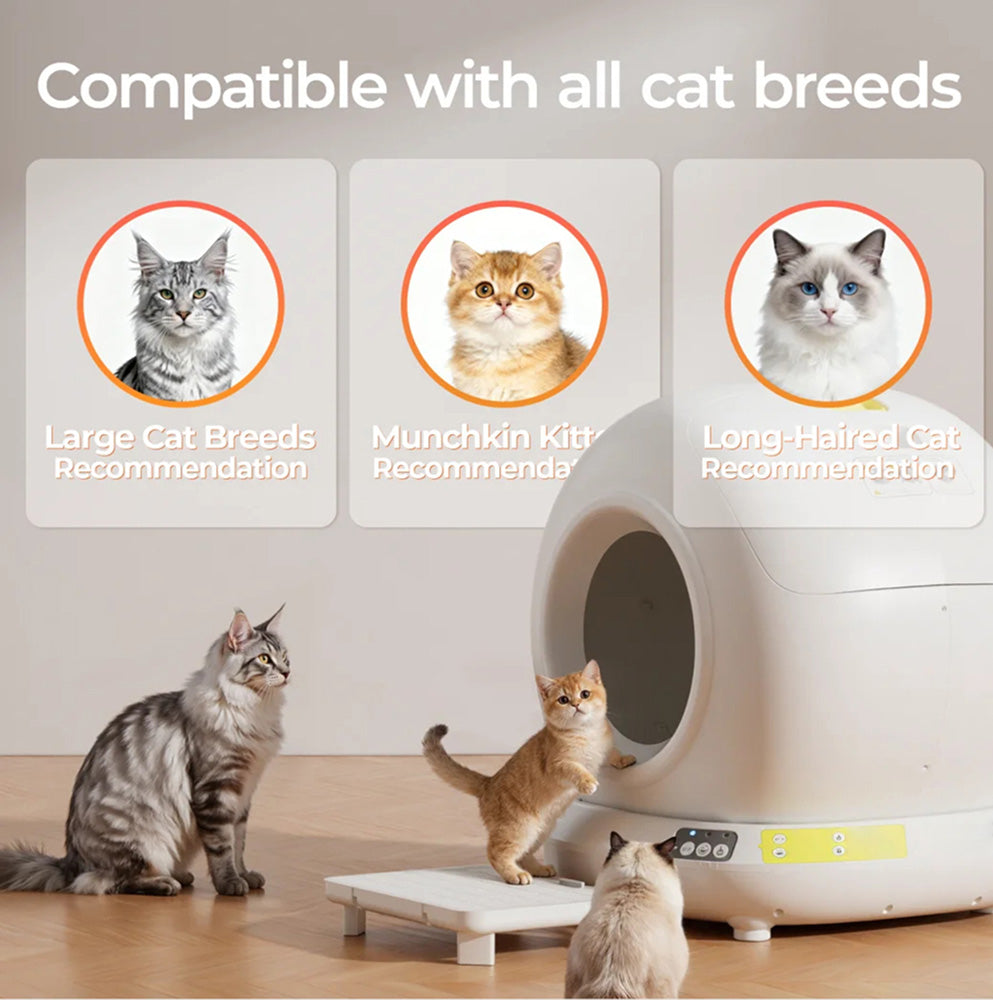 Catnixbo