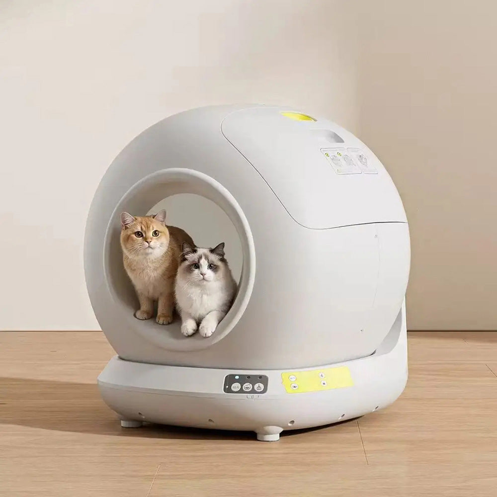 Catnixbo