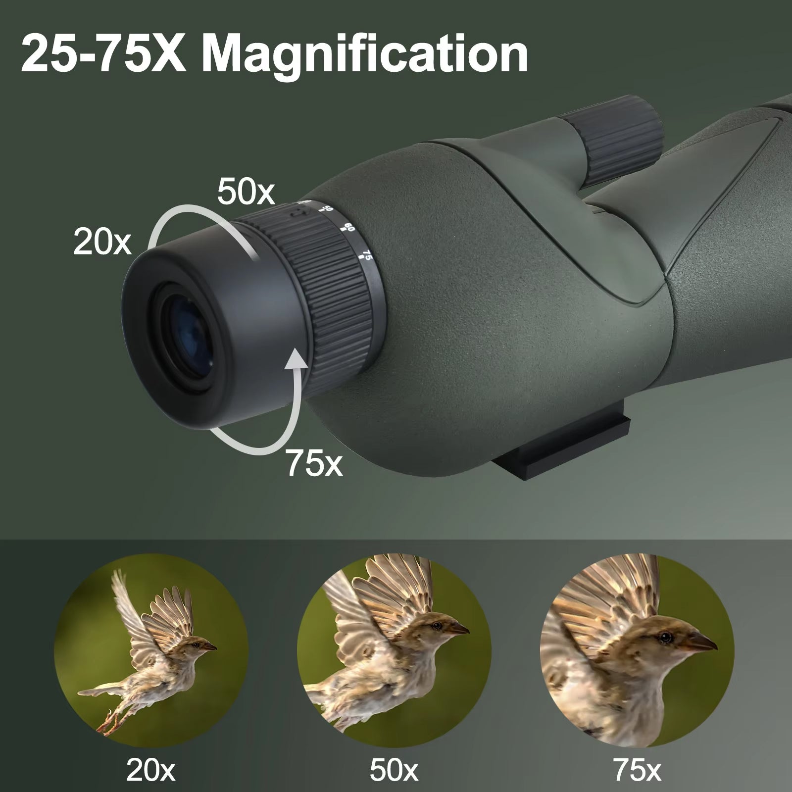 eye-zomix-img-04.jpg__PID:103d3b45-c309-4fc9-bf03-d2e8a2fe81ff