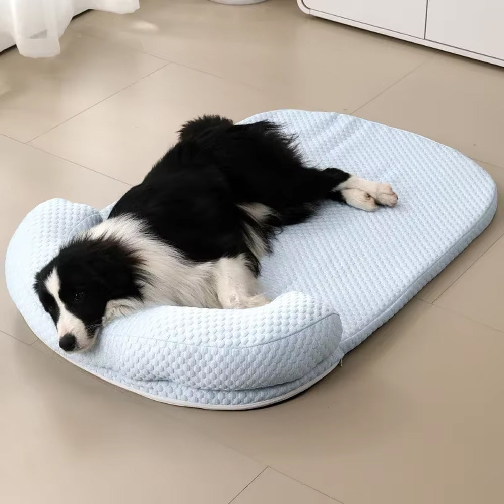 CoolasPet