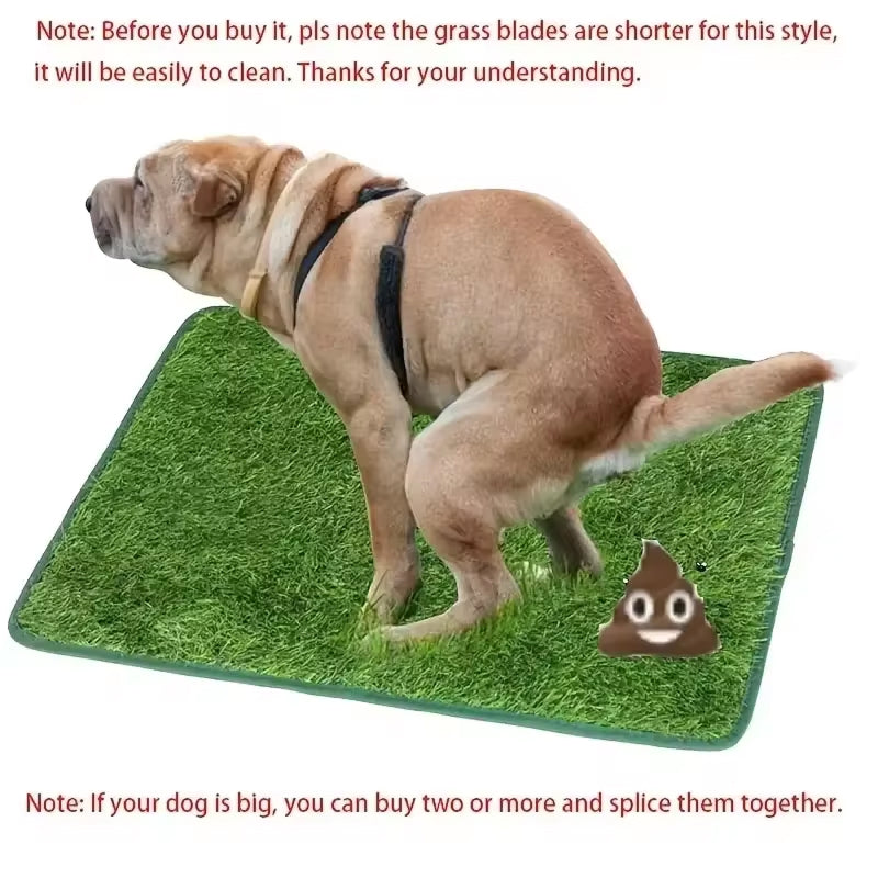 Patfodog