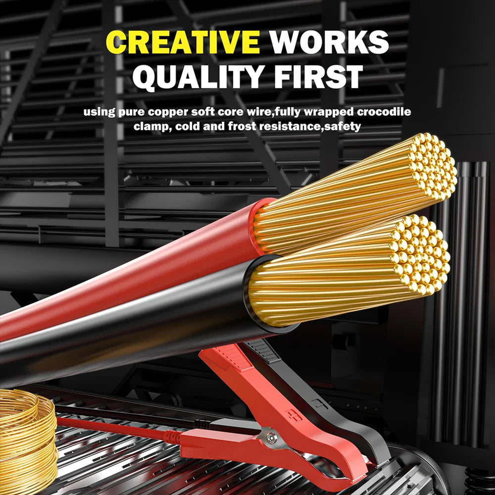 VoltaxLod Car Battery Trickle Charger